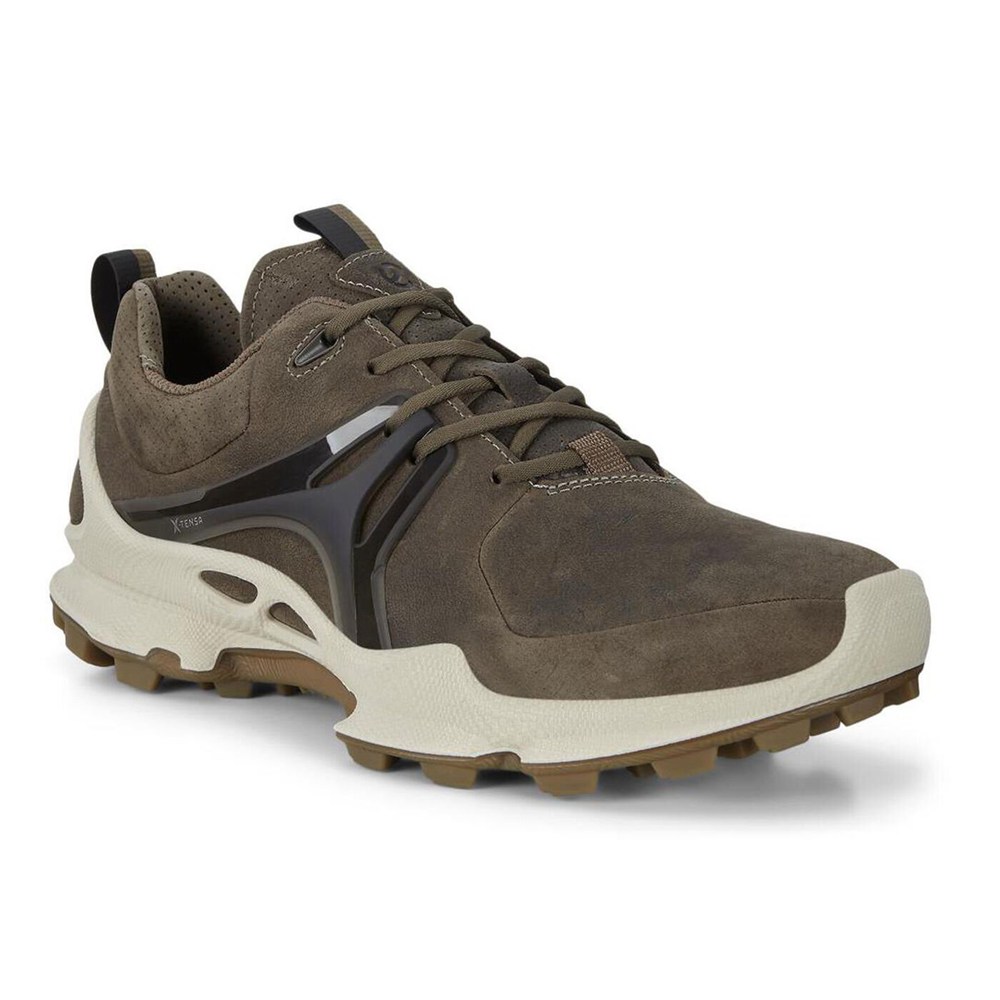 Womens Hiking Shoes - ECCO Biom C-Trail Low - Brown - 0975EIDSG